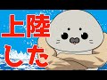 【自己紹介】はじめまして、グレたんです【Vtuber】
