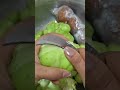The peeling stage of a fruit skin using a knife is carried out by an expert evenly.#shorts