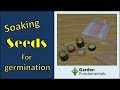 Best way to soak seeds for (fast) germination