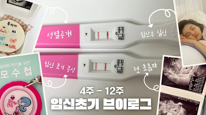 [VLOG]🤰🏻임신 초기 이런 일이..? 4~12주 리얼 현실 브이로그