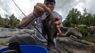 NC River Bream and Flathead Fishing -Trout Magnet Bream