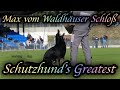 Schutzhunds Greatest Dogs *Max vom Waldhäuser Schloß*