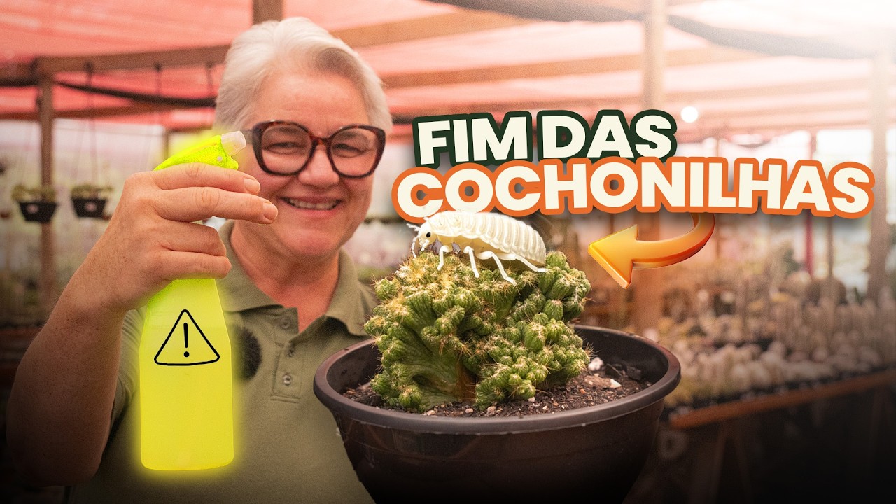 O Guia Definitivo para Acabar com as Cochonilhas
