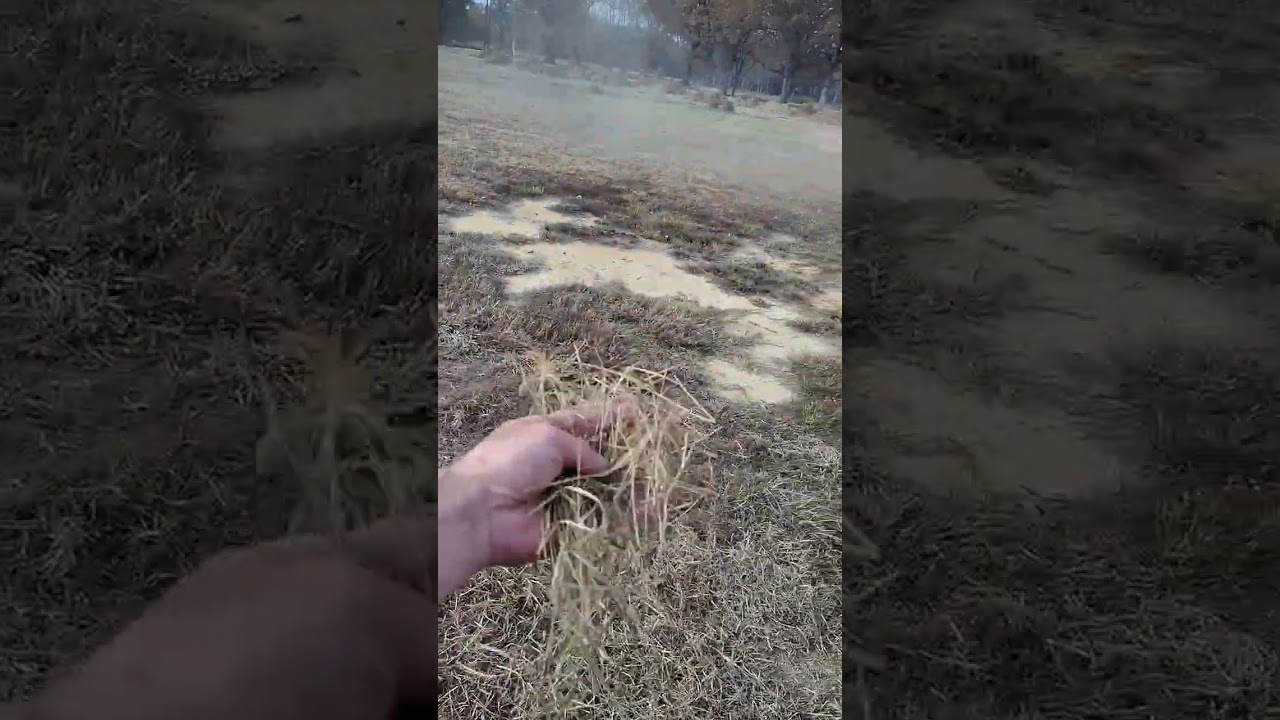 Ironcraft Flail Finish Mower that can Mulch Up To 1.5" Trees!!!