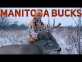 Manitoba whitetail deer hunting 9 day hunt mule deer  trespassers