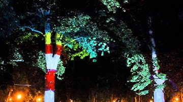 INCANTO MUTEVOLE // Trees Mapping // Apparati Effimeri