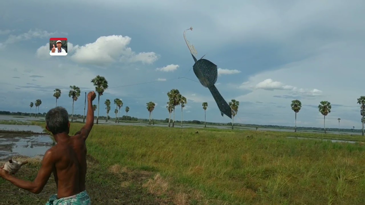 Layang-layang Merak pak Azis runcing bawahnya diterbangkan setelan tempo nada cepat