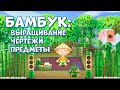 Бамбук: где брать, как растить, инструкции и предметы из бамбука в Animal Crossing: New Horizons