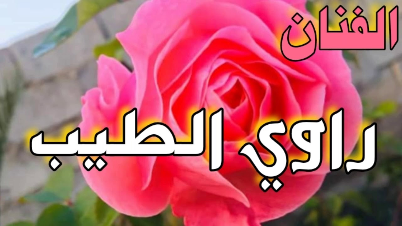 الفنان راوي الطيب🎙(علش دايخ يول ومضيگ انفاسك😞😍 )