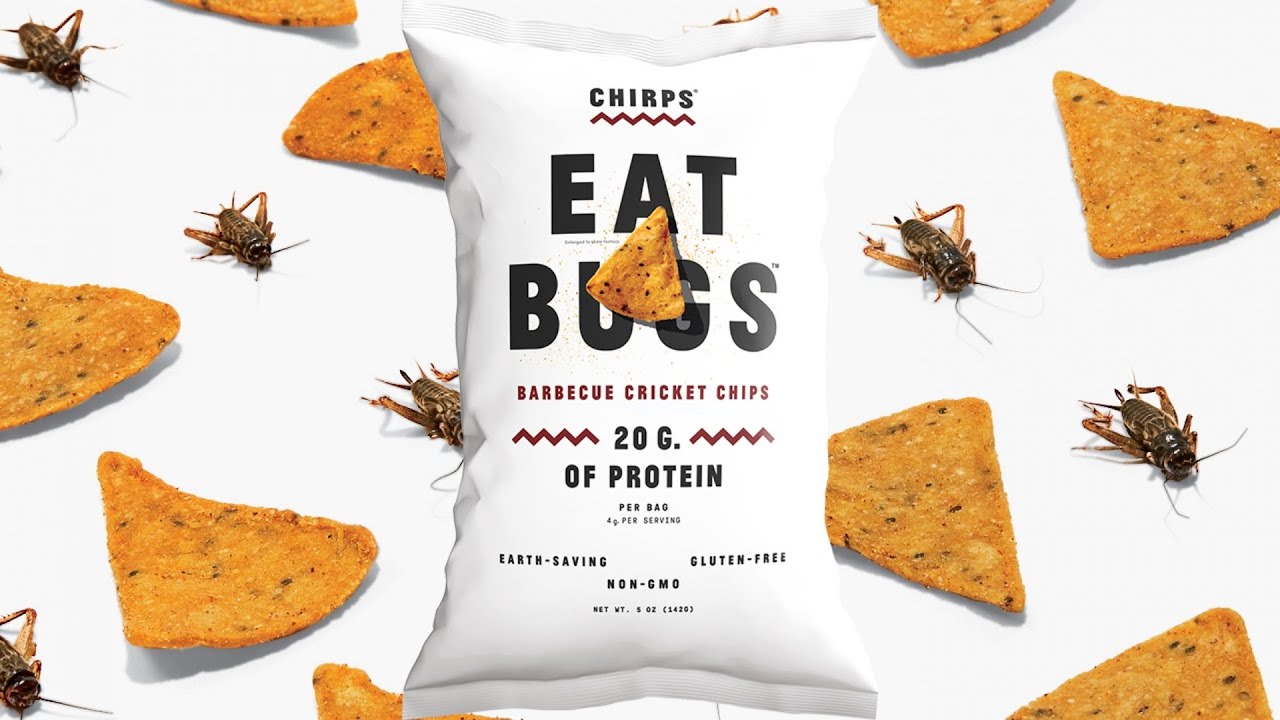 Chips Made With Crickets YouTube