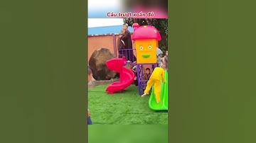 Cầu trượt liên hoàn khu vui chơi ngoài trời cho bé #cautruotlienhoan #cautruot #khuvuichoi