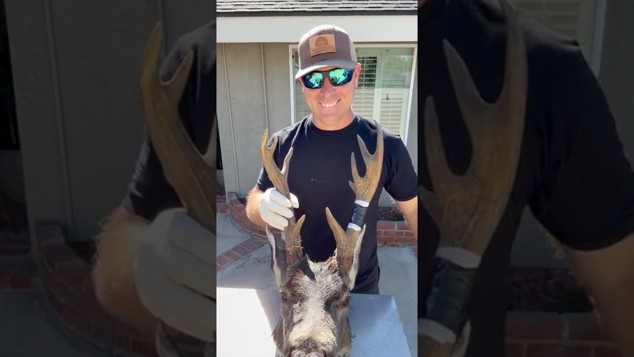 FREAK BUCK SKULL CLEANING