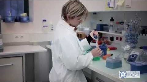 Les bactéries Escherichia coli entéropathogènes et leurs facteurs de virulence - Julie Guignot