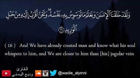 القارئ وديع اليمني / ماتيسر من سورة ق