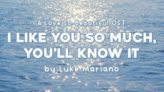 I Like You So Much, You’ll Know It - Ysabelle Cuevas | A Love So Beautiful OST | Aesthetic Songs