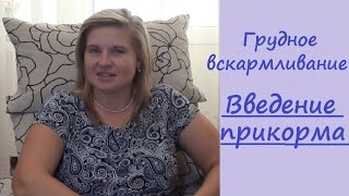 Грудное вскармливание Введение прикорма Часть 1 Грудное вскармливание Введение прикорма Часть 1