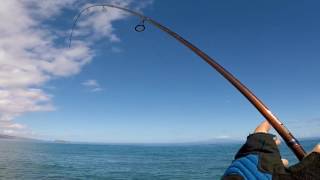 Big Island Baits ( testing Lava curly tail ) Wondering if it works?