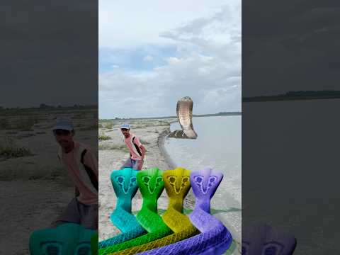 Akasha Mag Dorai Se Hara Hara Dhambhu Hara Hara Shambhu Cnake Aya Rere