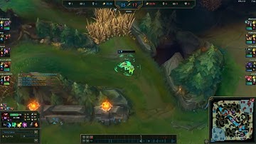 one in a lifetime chance you see Neeko