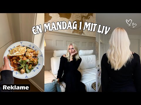 VLOG Faktisk Bare En Helt Normal Hverdag