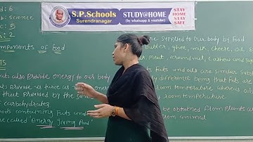 STD 6 CBSE | SCIENCE LEC 5 | S P SCHOOL SURENDRANAGAR