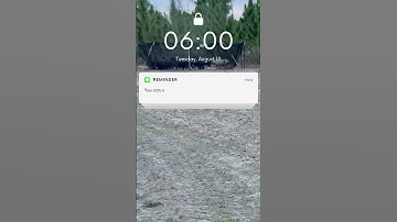 You Can Copy the Look but Not the Results | Pig Brig Trap Systems