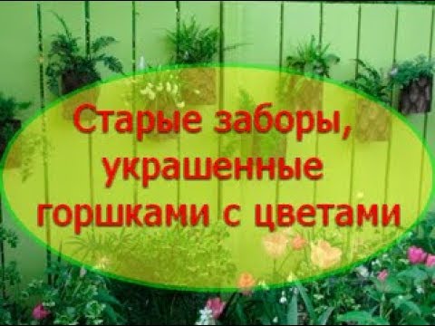 красивый забор с цветами красивый забор с цветами