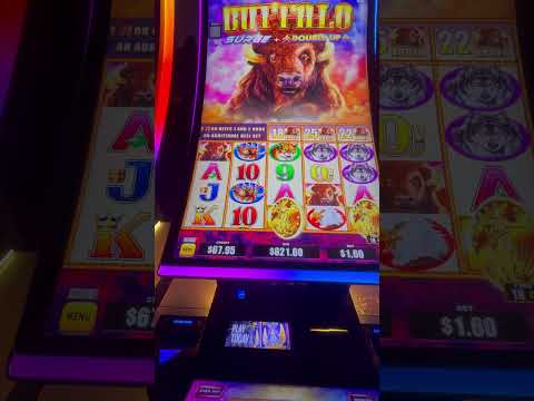 Noches Latinas de Casino Arizona con Banda La Llegadora