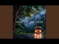 Lost In The Rain