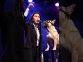sing a song beat with super dog #song #shorts #viral #funniestvideo #MusicReels #eyecatchy