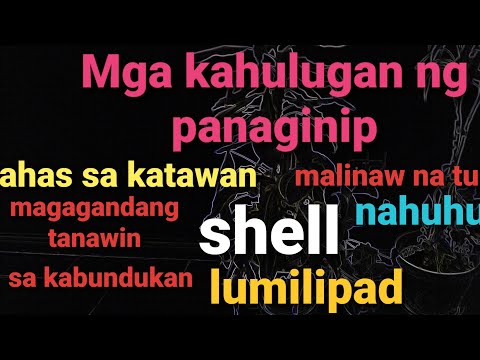 Kahulugan/Panaginip/ahas sa katawan/Shell/lumilipad/nahuhulog/Tubig/Bundok