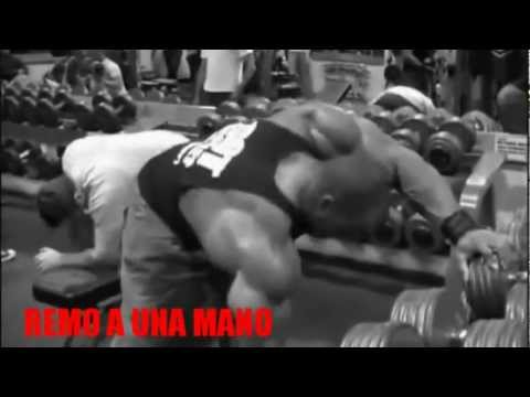 DORSAL REMO A UNA MANO CON APOYO INCLINADO camera iphone 8 plus apk