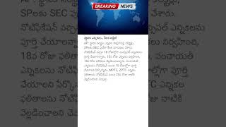 స్థానిక ఎన్నికలు.. కీలక అప్డేట్ #andrapradesh  #localbodyelections #electionupdate #appolitics #news