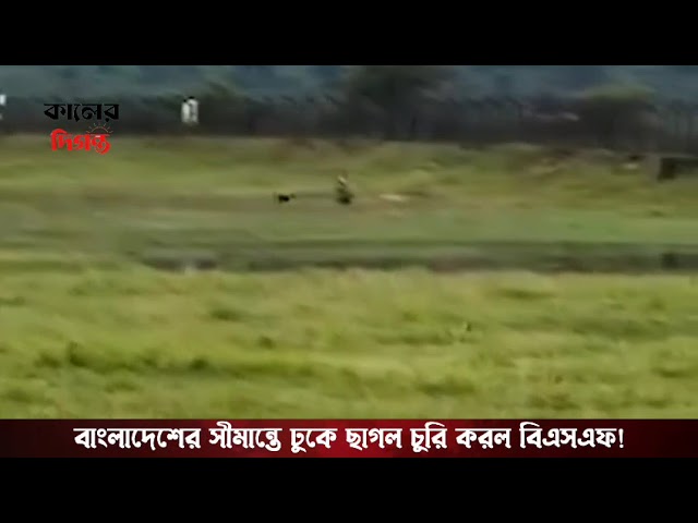 বাংলাদেশের সীমান্তে ঢুকে বিএসএফের বিরুদ্ধে ছাগল চুরির চাঞ্চল্যকর অভিযোগ | Breaking News