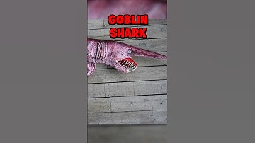 THE MOST TERRIFYING SEA CREATURES THAT EVER EXISTED…😱🌊