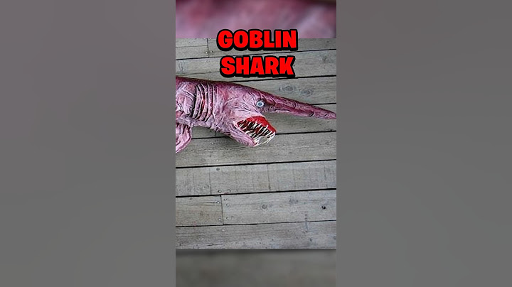 THE MOST TERRIFYING SEA CREATURES THAT EVER EXISTED…😱🌊