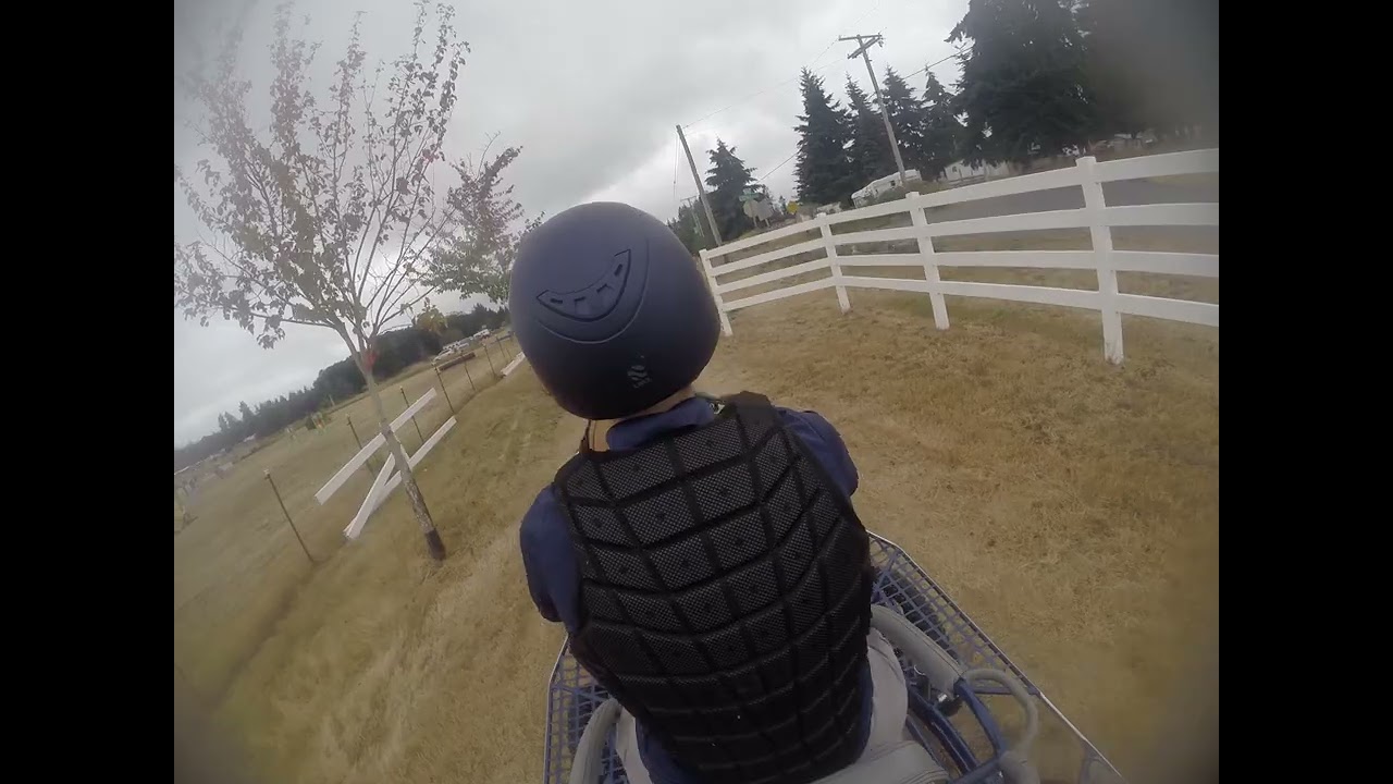 Rainbow Meadows CDE Tory Training Level Part 1