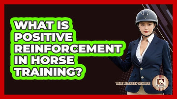 What Is Positive Reinforcement In Horse Training? - The Horses Stable