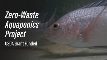 Zero-Waste Aquaponics Project - USDA Grant