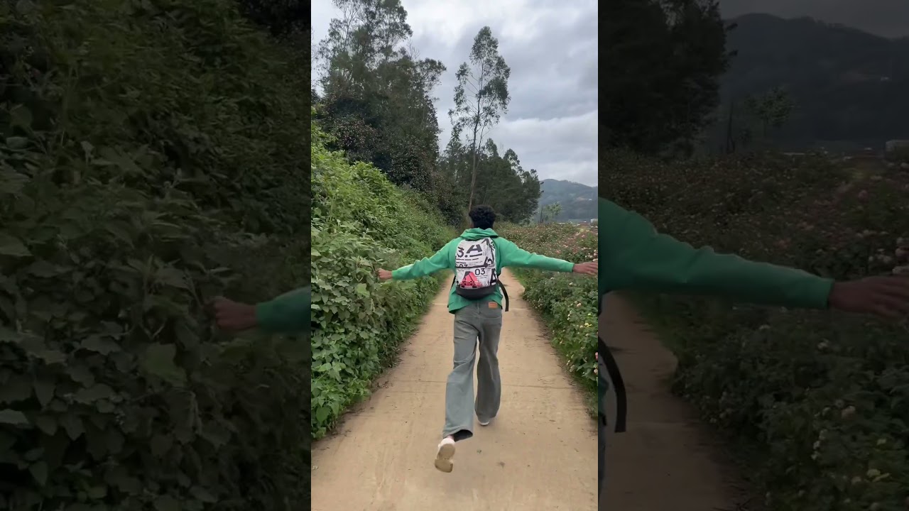 Poondi kodaikanal🍄