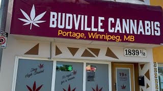BUDVILLE CANNABIS