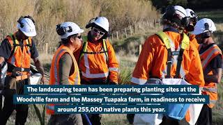 Planting has begun on Te Ahu a Turanga: Manawatū Tararua Highway