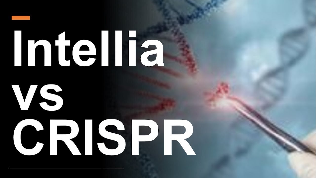 Intellia Stock vs CRISPR Stock The Winner Is? YouTube