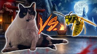 Cat vs Wasp - Fight to the Death! by Sebastian J. Smith 10,721 views 7 years ago 52 seconds