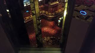 The weird elevators aboard Carnival Elation