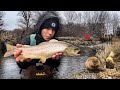 Winter trout fishing a beaver infested stream big fish seen