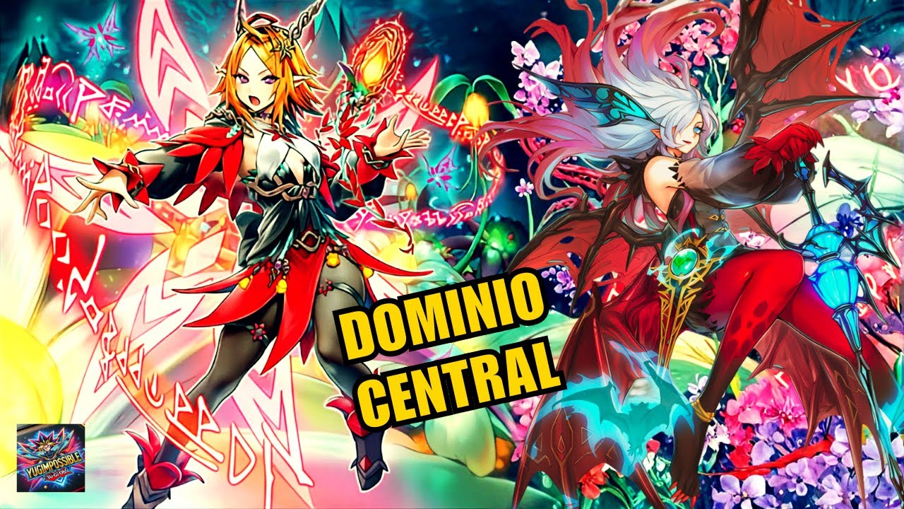 【Elvennotes + White Forest】Combos | Replays + Decklist | TCG 2025 YuGiOh【遊戲王】