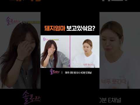 [#솔로라서] 단골1과 단골2의 만남에 신났던 돼지엄마 #Shorts