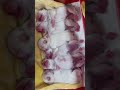 "The puppies with the cutest voices in the world!"#shorts #cutepuppies #viral #gujarati