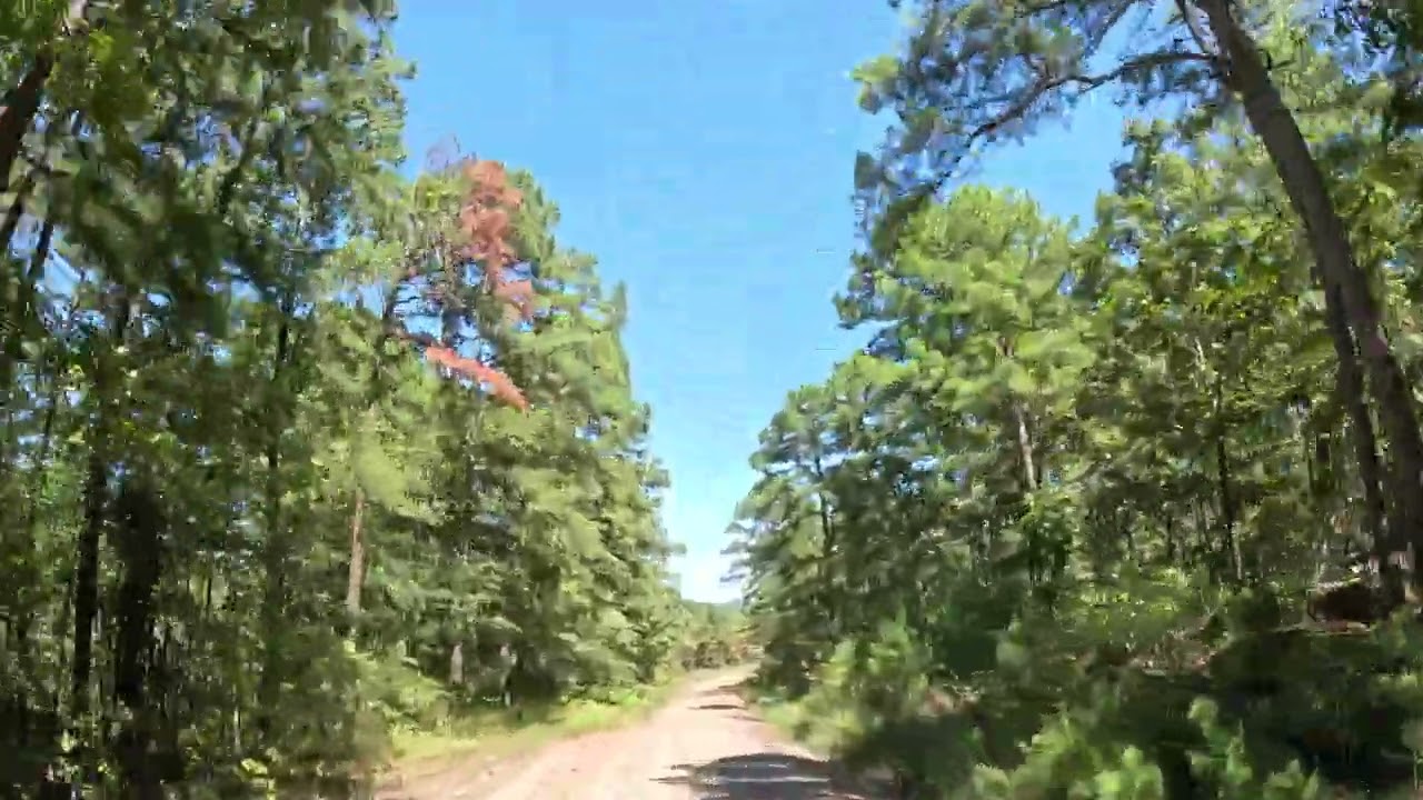 High-Octane UTV Ride: Tackling the Best Trails in Broken Bow, Oklahoma!